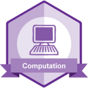 Software CRediT badge